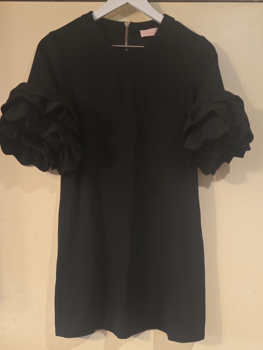 Rouge! Black Layered Ruffle Sleeve Dress